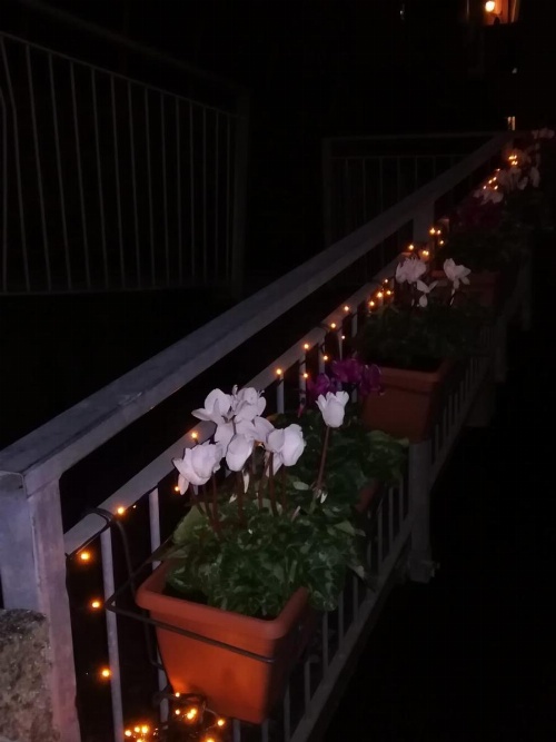 Rio Groppo Guesthouse image 30